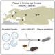 Illustration for article titled The Plague Has Been Around For a Lot Longer Than We Thought